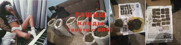 эйфоретик Богданович