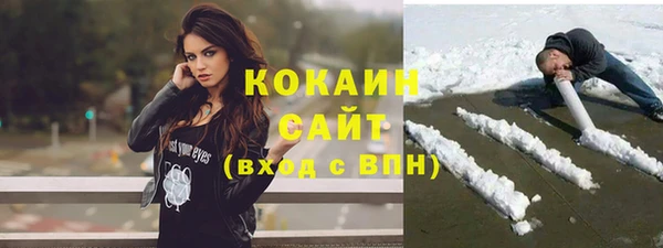 эйфоретик Богданович