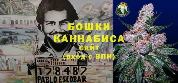 эйфоретик Богданович