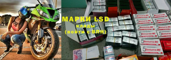 эйфоретик Богданович