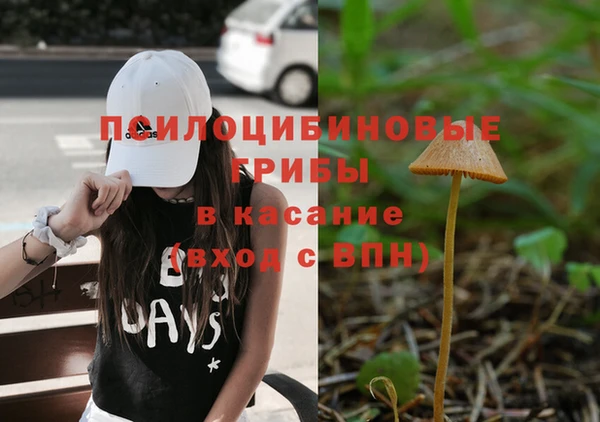 COCAINE Богородицк